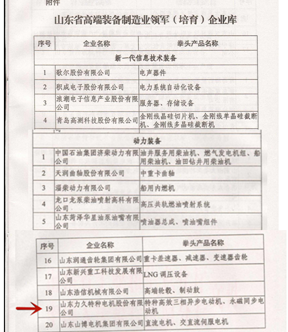 山东省高端装备制造业领军企业3